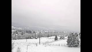 Live Camera Axis P1365