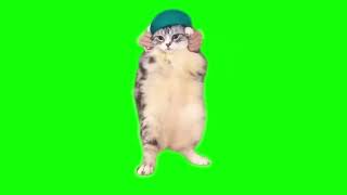 Green Screen Dancing Cat Meme