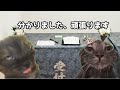 【猫ミーム】葬儀社にアルバイトとして勤めていたお話その9