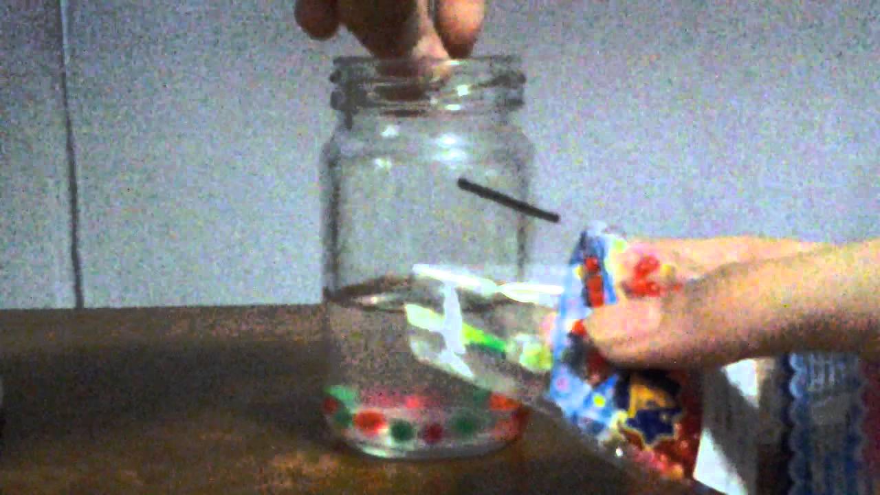 Growing Of Water Babies! YouTube