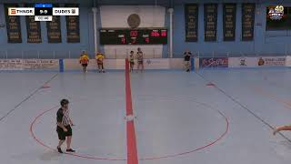 PBLA: July 29, 2026 - Livestream recording of Beer Wolves vs Pups, Thunder vs. More Dudes