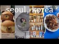 【韓国vlog】忠武路・乙支路・東大門グルメ&カフェ巡り!ポックンパッ|テジカルビ|韓国スタバ|ソルビン|チーズケーキ