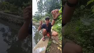Fishing Using a Palm Leaf Rod #fishing #fish