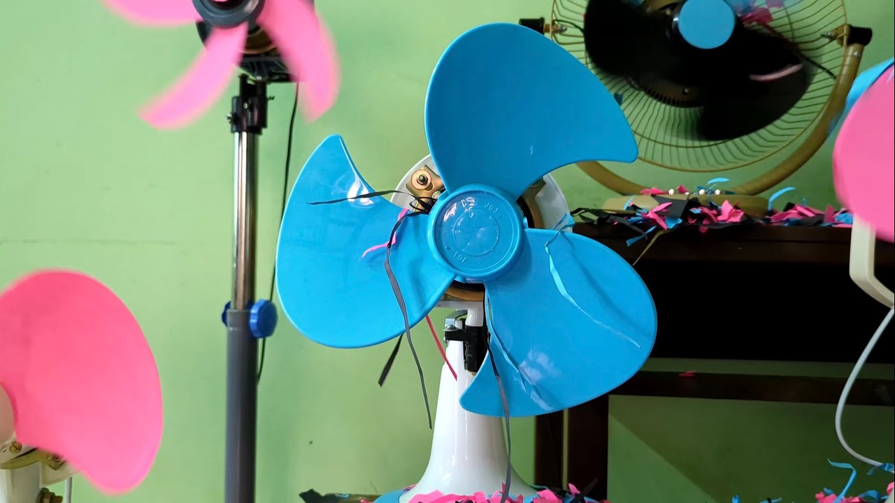 Fan video. Fans vs Papers. Table fans and pedestal fans. Throwing