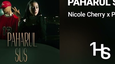 Nicole Cherry x Puya - Paharul sus | 1 Hour class=