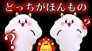 どっちがほんもの？名探偵の推理で謎を解き明かせ！お料理ミステリー寸劇♪親子向け知育教育★サンサンキッズTV★