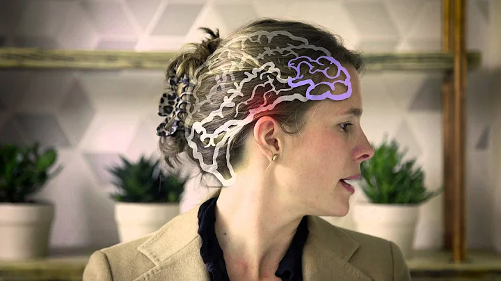 The Biology of Stress and Trauma: What Happens in ...