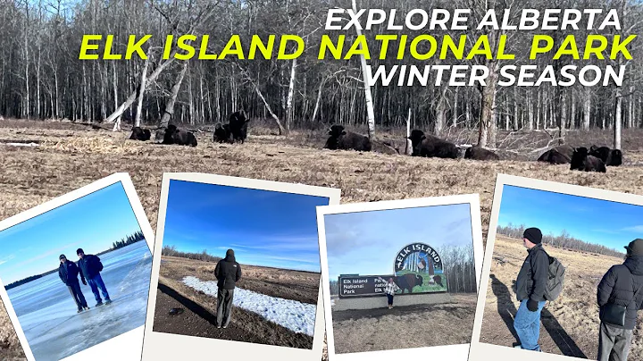 Exploring Elk Island National Park to see a Bison & walk in the Frozen Lake
