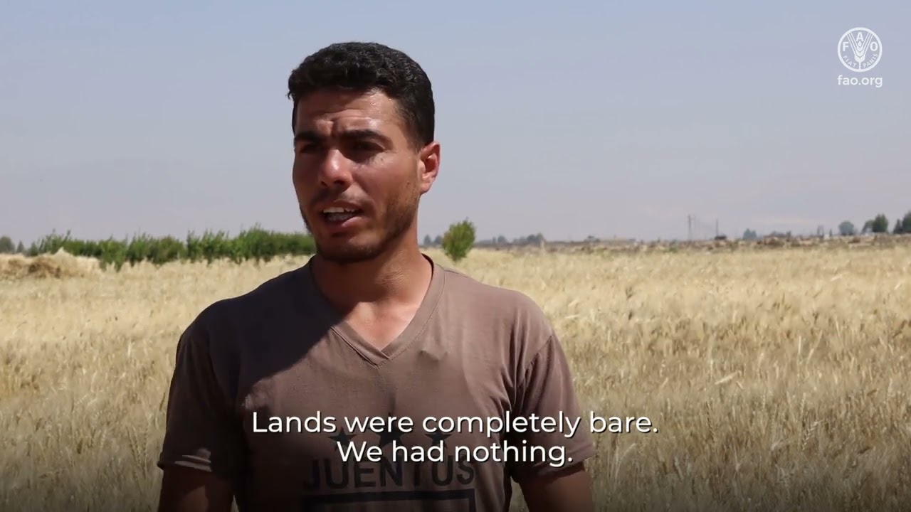 FAO Representative, Syria, calls for immediate action to support wheat production