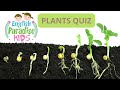 Plants Quiz