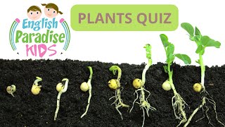 Plants Quiz