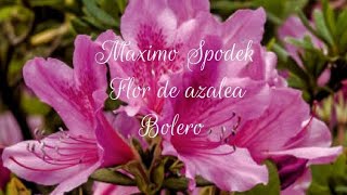 MAXIMO SPODEK, FLOR DE AZALEA, BOLEROS EN PIANO ROMANTICO Y ARREGLOS INSTRUMENTALES screenshot 4