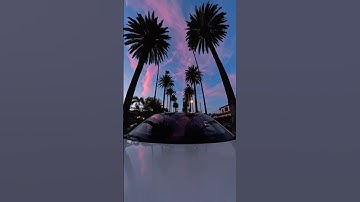 Smooth video, without all that gear! 🎥🌴 @insta360 #Insta360X5 #360camera