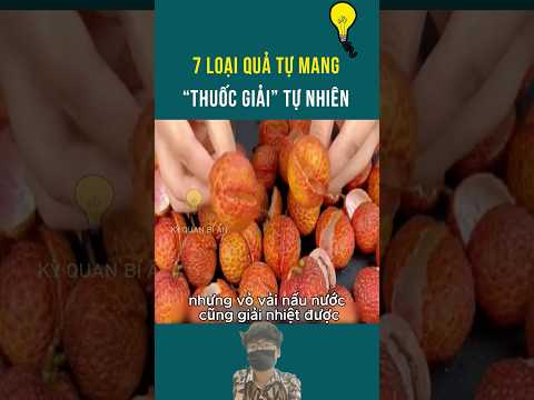7 loại quả tự mang “thuốc giải” tự nhiên | Kỳ quan bí ẩn #kqba