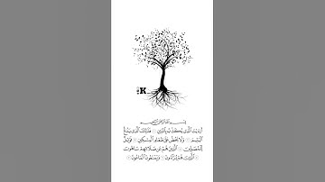 #راحة نفسية#القران الكريم#حالات واتس اب#الشيخ احمد بن العجمي سورة الماعون 🍁❤🤲