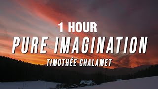 1 Hour Timothe Chalamet  Pure Imagination s From Wonka