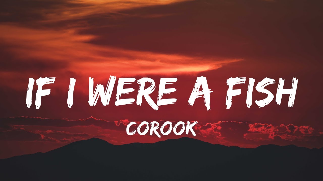 corook - I FORGOT Lyrics