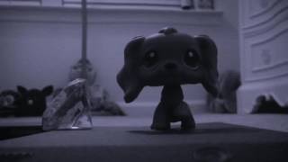 Pacify her-Lps MV