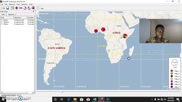Constructing Haplotype Network