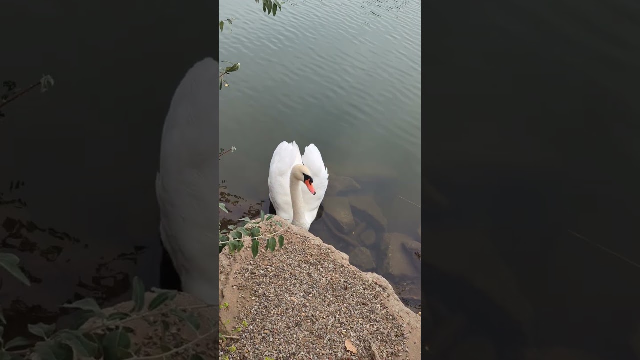 Работа и путешествия по США,#  Work and travel in the USA , Wichita KS.