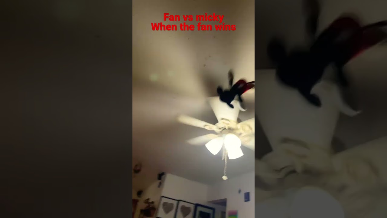 Mickey’s dead because of the fan