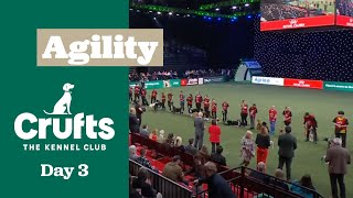 Young Kennel Club - Agility Dog of the Year Finals | ​Crufts 2025