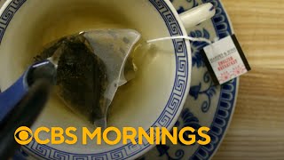 Inside one of the nation's most popular tea brands