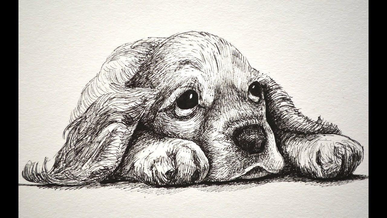 How to Draw a Sad Puppy