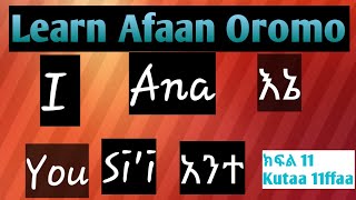 ተዉላጠ ስም በኦሮሚኛ-Pronouns-Learn Afaan Oromo in Amharic|part 11