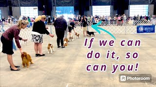 It’s Only Scary Because It’s New  | 1st AKC Dog Show With Cavalier