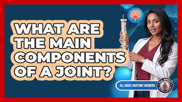 What Are The Main Components Of A Joint?