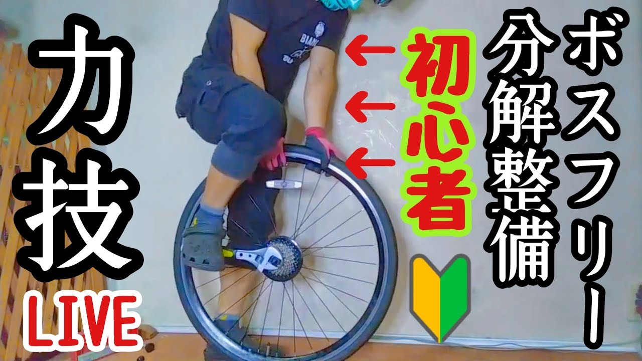 初挑戦 リアホイールを力技でボスフリー分解ベアリングの異音を分析 メンテナンス初心者 目線でロードバイクとクロスバイクの違い検証 激安ネット通販ルック車クロスバイク整備 工具が足りずグリスアップ断念編 Youtube