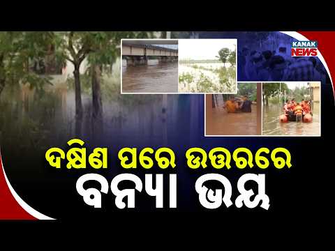 ଦକ୍ଷିଣ ପରେ ଉତ୍ତରରେ ବି ବନ୍ୟା ଭୟ Odisha Flood | ODRF Rescues Families as Flood Threat Spreads North
