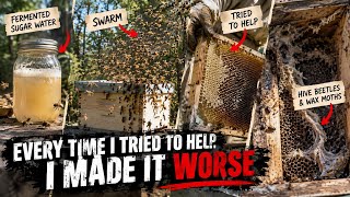 One Beginner Mistake Turned My Hive Into A Total Disaster