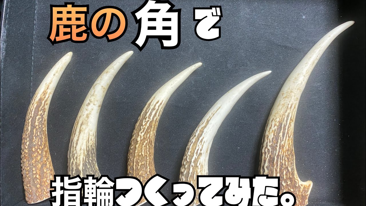 鹿の角で指輪を作ってみた No.1 - YouTube