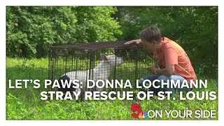 Let's Paws: Donna Lochmann with Stray Rescue of St. Louis