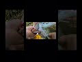 Please SUBSCRIBE!!! Full video is on my channel➡️ #bassfishing #topwater #bigbass #giantbass