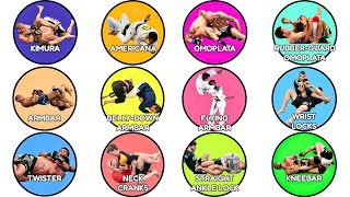 Every Mma Joint Lock Types Explained In 14 Minutes
