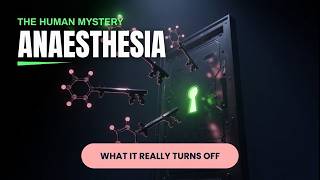 What Drugs Reveal About the Hidden Structure of Consciousness