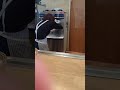 ピーナッツソフトクリーム