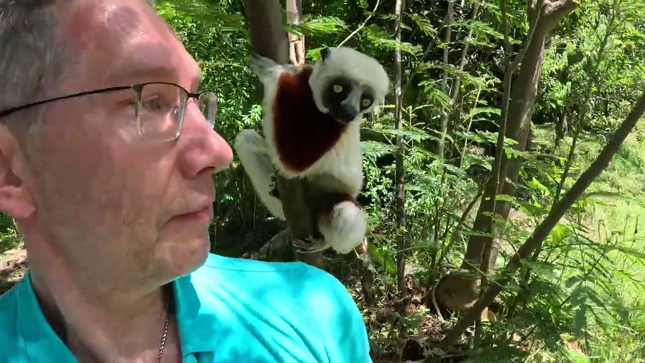 Лемуры 2026. В неформальной обстановке