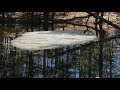 Pond Ice Puzzler Soultion