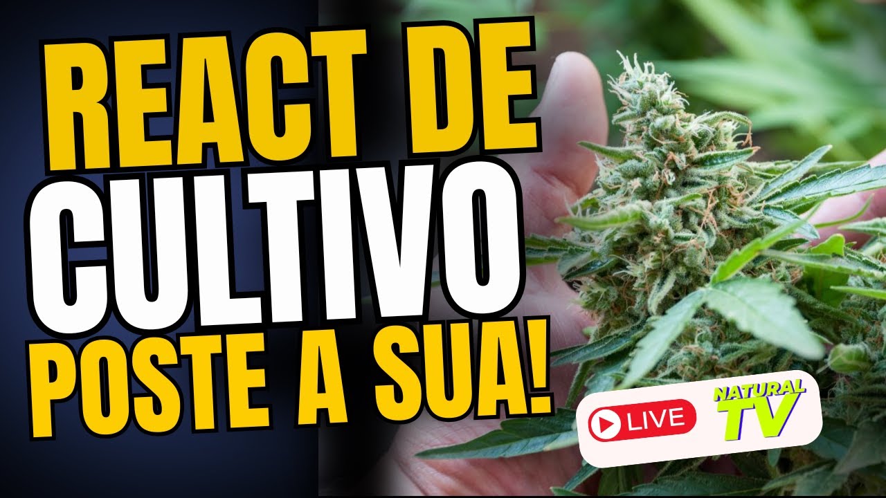 REACT de PLANTAS no GANZA APP / Comunidade Grower Maker!