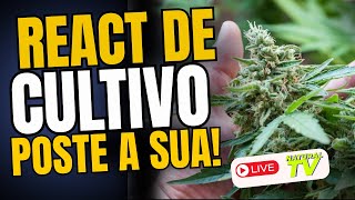 REACT de PLANTAS no GANZA APP / Comunidade Grower Maker!