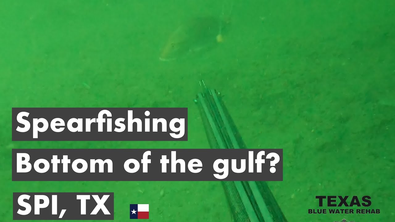 Spearfishing RGV Reef and Offshore Platforms South Padre Island, TX