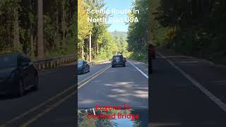 Nature Therapy 🍃 | Beautiful Green World & Scenic Views-EP#122 #shorts #traveltips #adventure