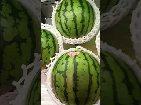 #asmr #satisfying #watermelon #shortvideo #shorts