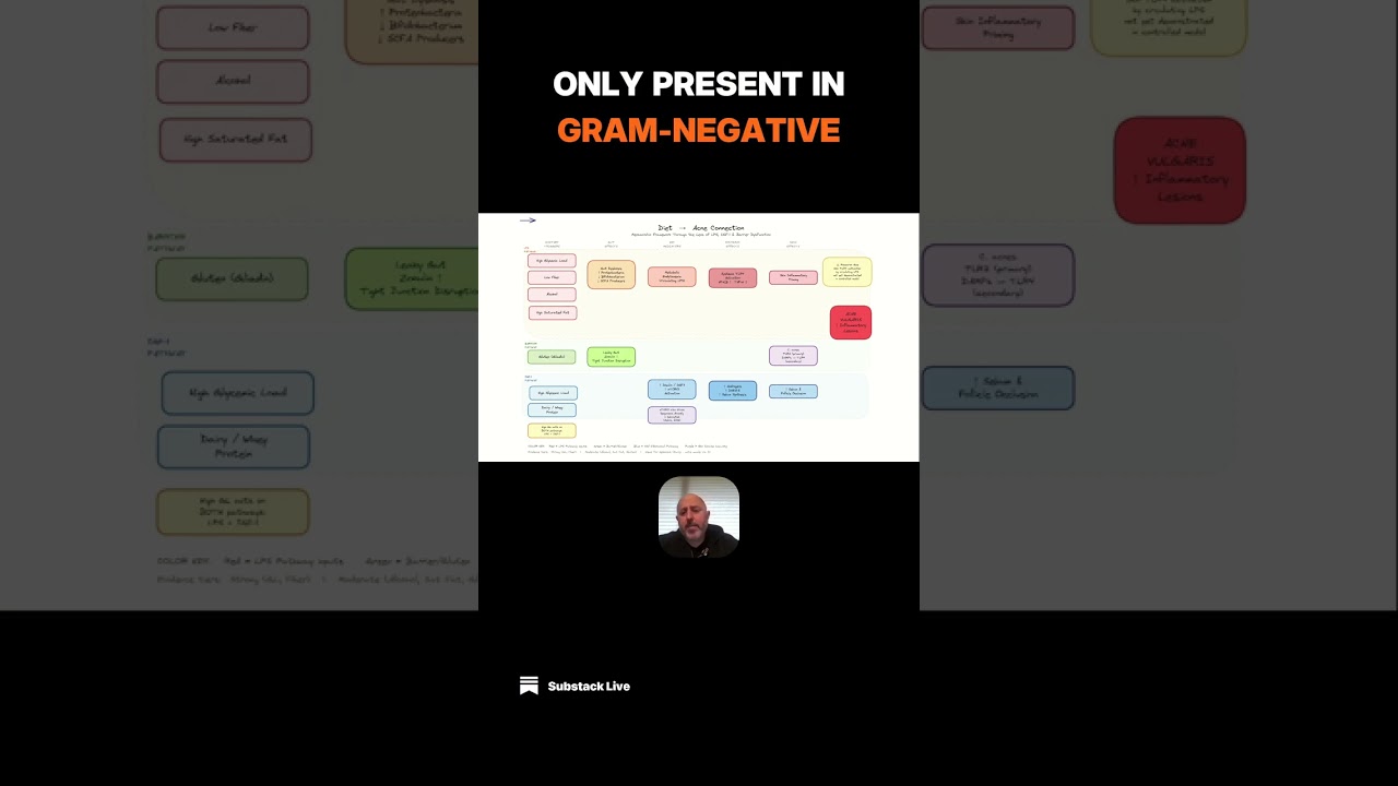 How Diet Creates Endotoxemia #substack #shorts