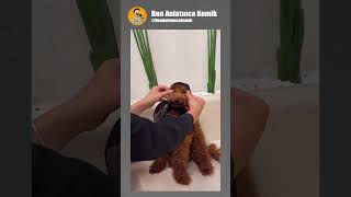 Eşarbını Yan Bağlama