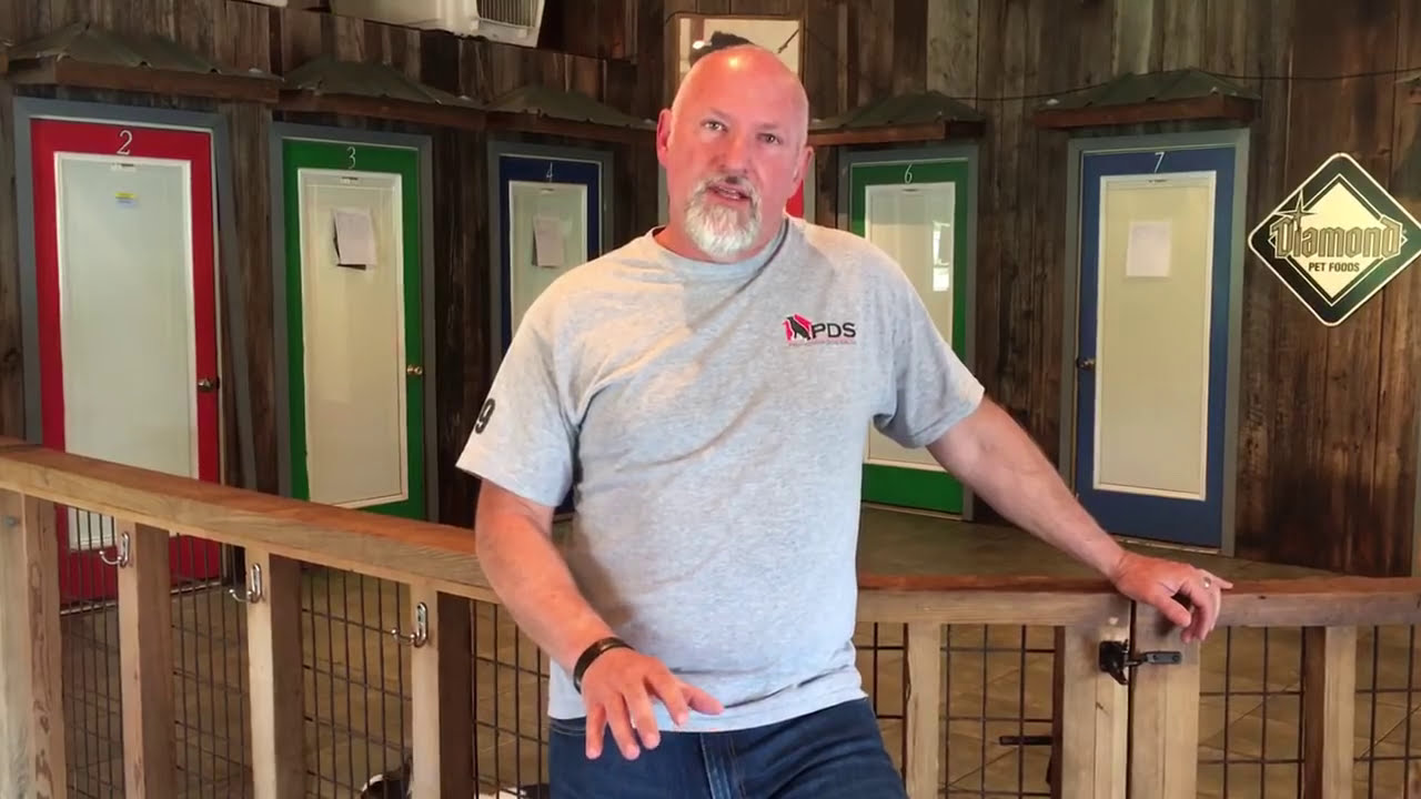 camera iphone 8 plus apk A Video Discussion of Private Lesson Training And Cost W/Protection Dog Sales & Animal Resorts